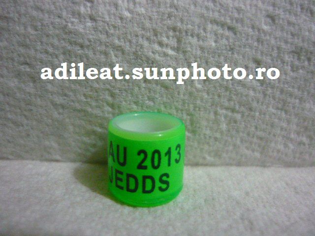 AMERICA-2013-AU-JEDDS - AMERICA-ring collection