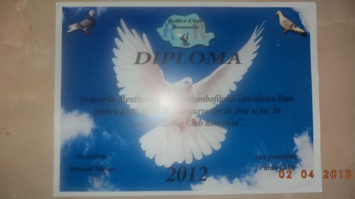 diploma - Premi