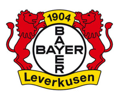 Bayern Leverkusen - Saisprezecimile Europa League 2013