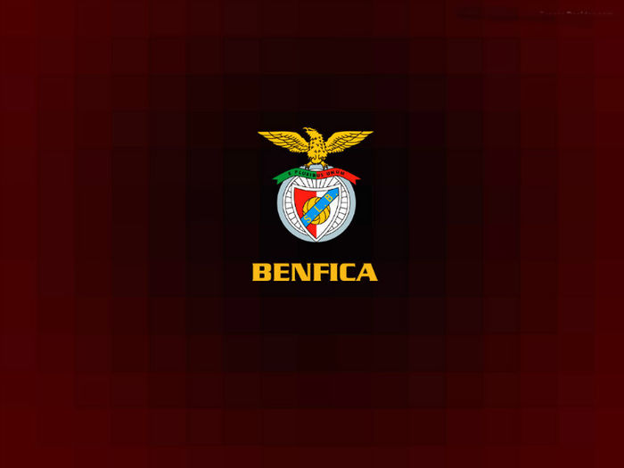 Benfica - Saisprezecimile Europa League 2013