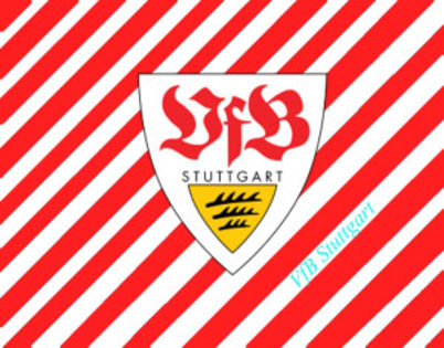 VFB Stuttgart - Saisprezecimile Europa League 2013