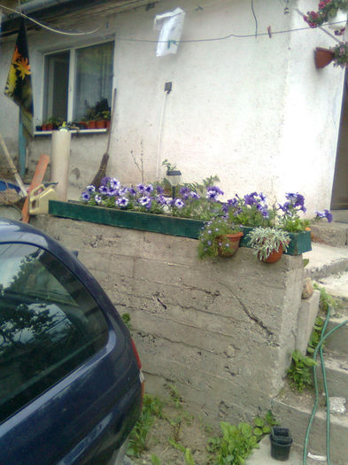 Imagine0124 - FLORILE MELE