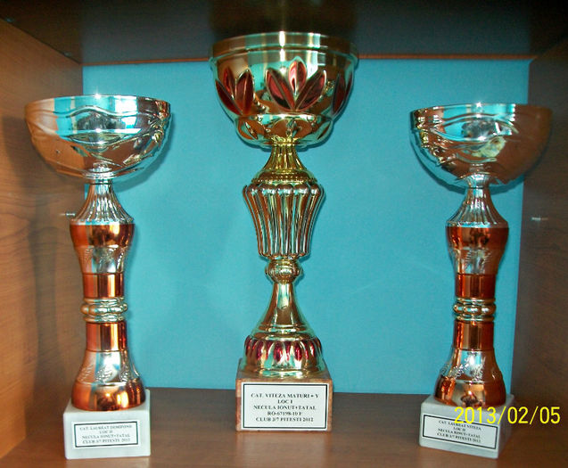 Loc 1 Viteza M , Loc 2 Laureat Viteza , Loc 2 Laureat Demiond Maturi 2012 - 7 REZULTATE 2012