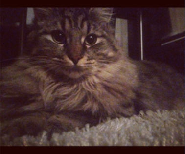 885875-11-1359817465977_thumb