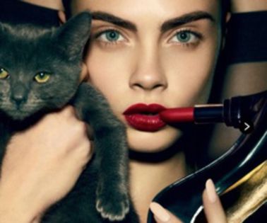 c04ce78c0ef6627a05e3d32fbf273231_thumb