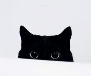 tumblr_mhpws5SMN91r3dp7do1_500_thumb