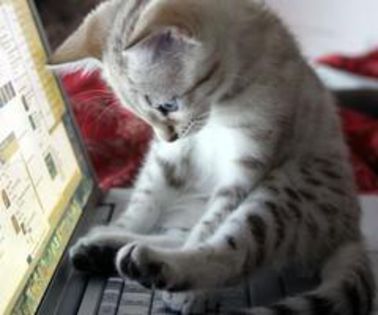 Dream-vs-pictures-WWW-12_thumb