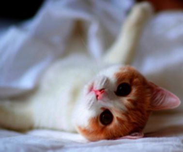 image_560501130117174316823_thumb