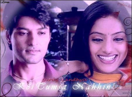 554373_402344289800345_1350437244_n - Diya Aur Baati Hum_Destine implinite