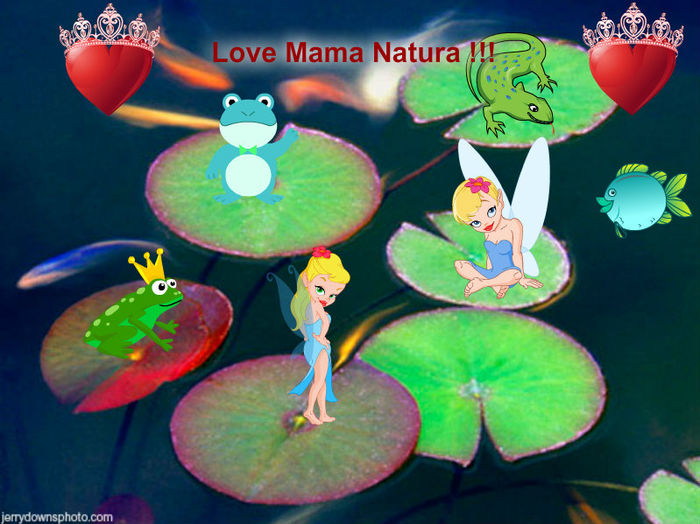 Mama Natura - 2013 TIC