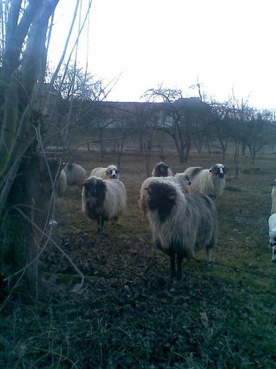Image0012