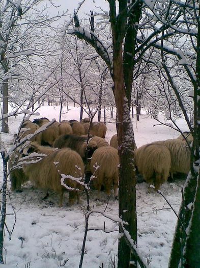 Image0020