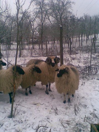 Image0028