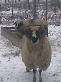 Image0030