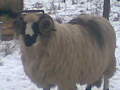 Image0045