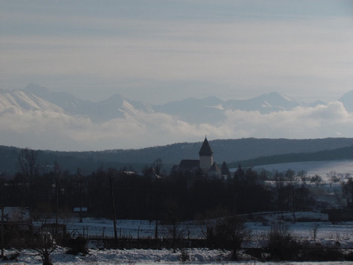 IMG_0968 - Vara - Toamna - Iarna in Transylvania