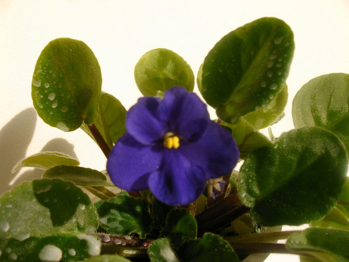 IMAG0030