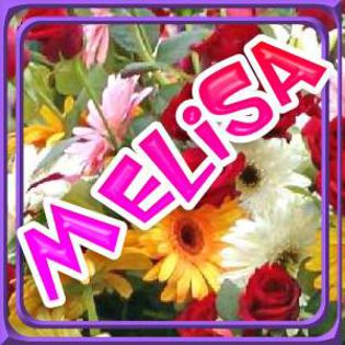 Melisa Avatar cu nume Melissa 3