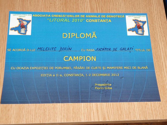 diplome (4)