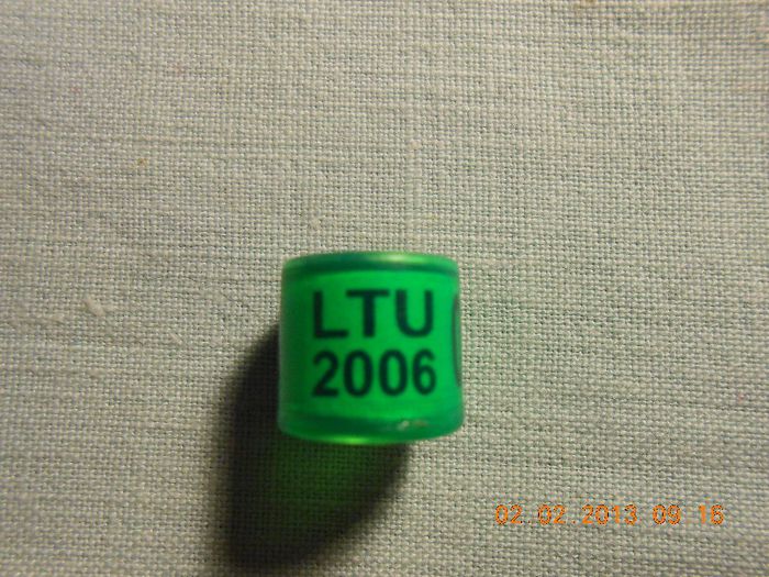 LTU  2OO6