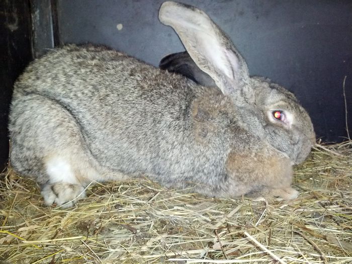 IMG_20130123_165059; Ritza 10.2 kg.
