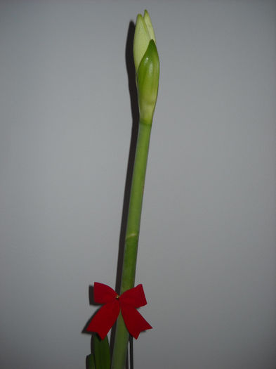 ma pregatesc !!!> 6 feb.