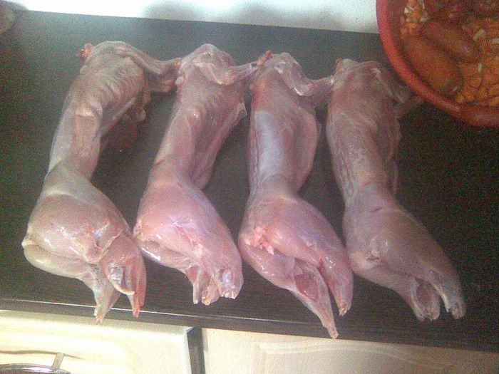 carne-mihaitargoviste - 1 Cum putem promova si valorifica legal carnea de iepure