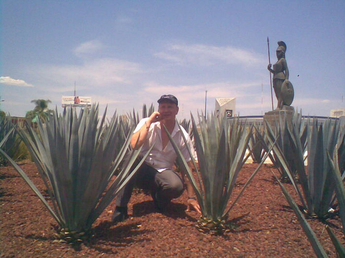 la  MINERVA  GUADALAJARA  MEXIC 2012 - cactusii mei