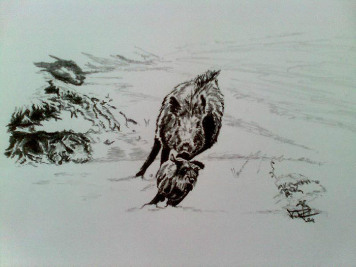 65285_408929192523147_1617686179_n