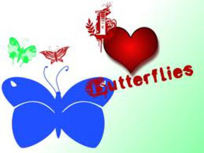  - BuTtErFlY