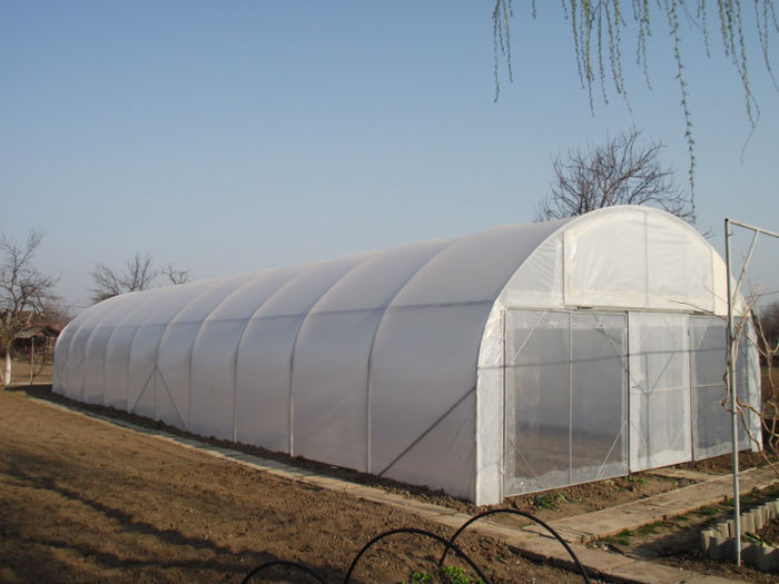 Solar cu structura metalica - Solar legume