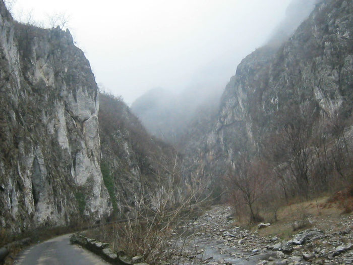 IMG_0341 - O zi cu ceata pe Valea Sohodolului