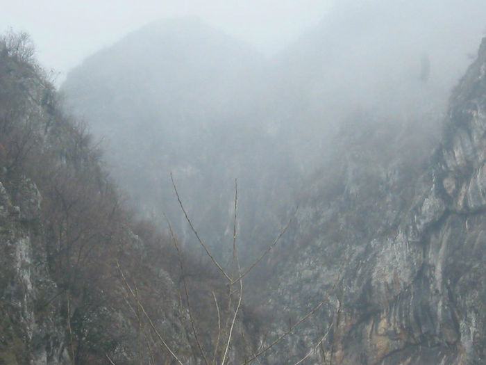 IMG_0343 - O zi cu ceata pe Valea Sohodolului