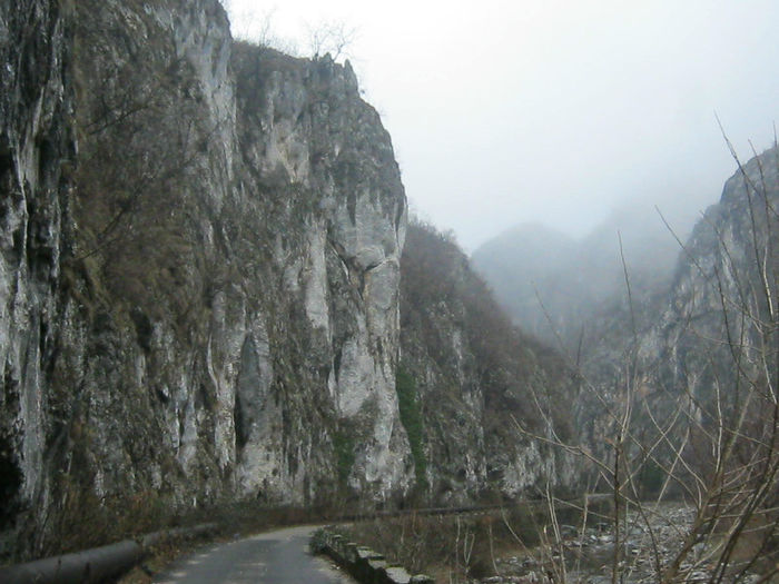 IMG_0344 - O zi cu ceata pe Valea Sohodolului