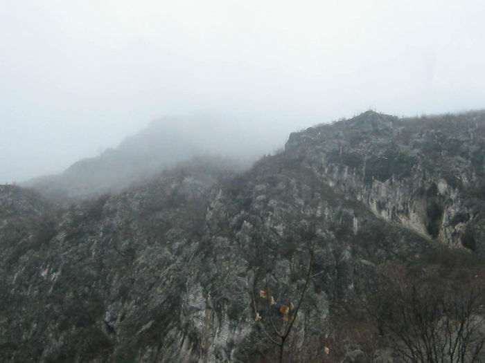 IMG_0347 - O zi cu ceata pe Valea Sohodolului