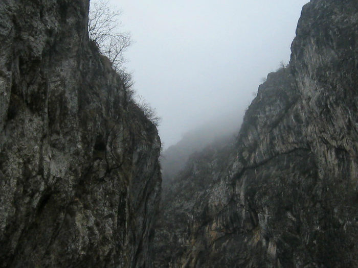 IMG_0353 - O zi cu ceata pe Valea Sohodolului