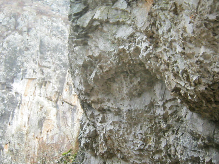 IMG_0386 - O zi cu ceata pe Valea Sohodolului