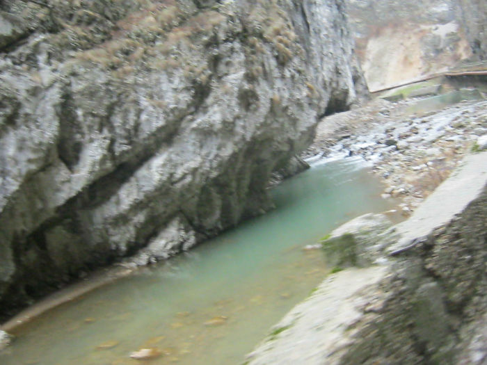 IMG_0464 - O zi cu ceata pe Valea Sohodolului