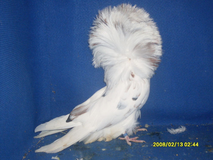 M 2012 - gulerati 2013