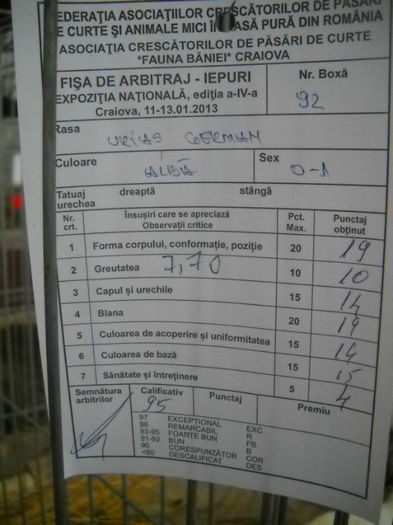 FISA DE ARBITRAJ CRAIOVA 2013