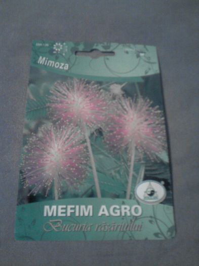 mimosa - seminte si bulbi achizitii pt 2013