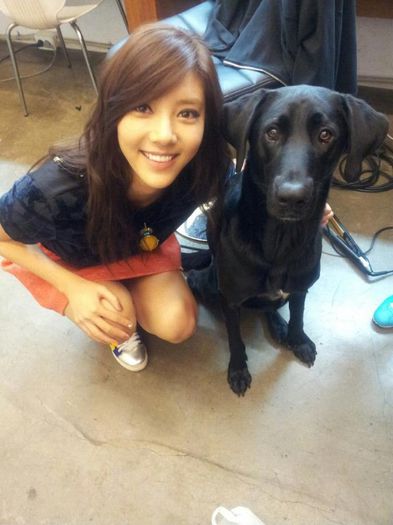 Son-Dam-Bi-black-lab - Son Dam Bi