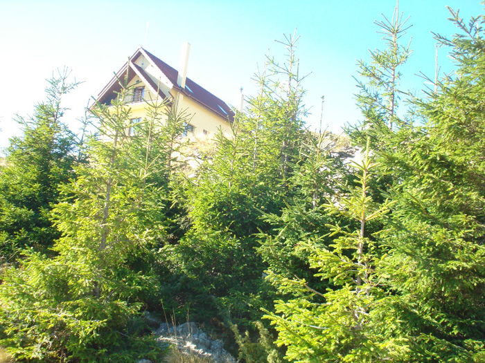 DSC05133