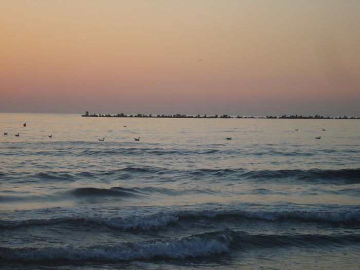 DSC04121
