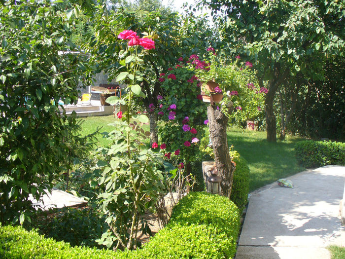 P1140264