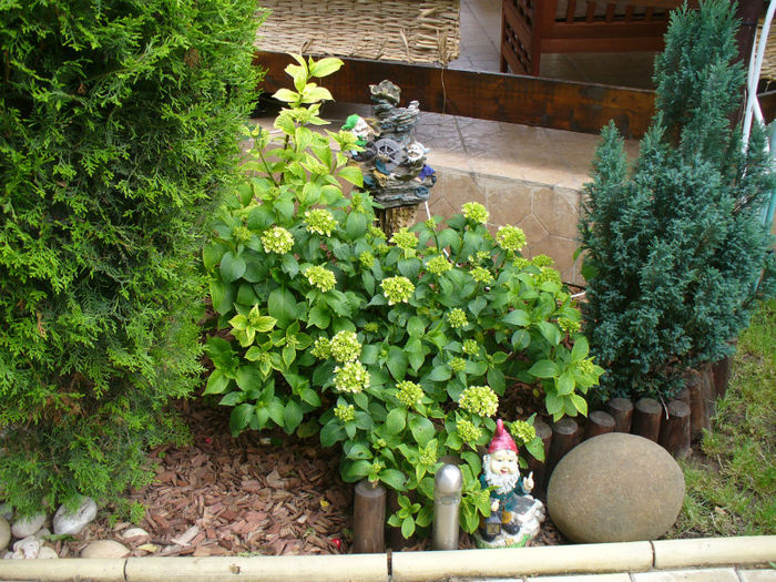 P1130506