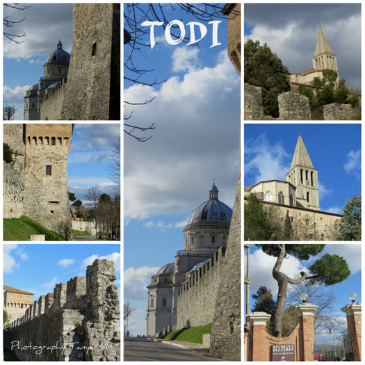 collage21 - TODI_Collage