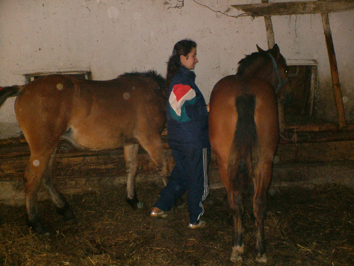 DSCF5078 - MANZE CUMPARATE DE LA PANCOTA  jud ARAD