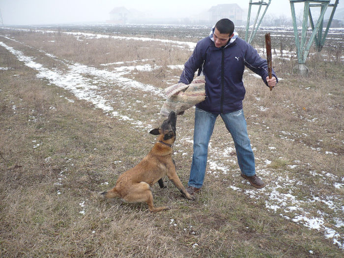 P1050101 - 6  PRETTY DARK KENNEL