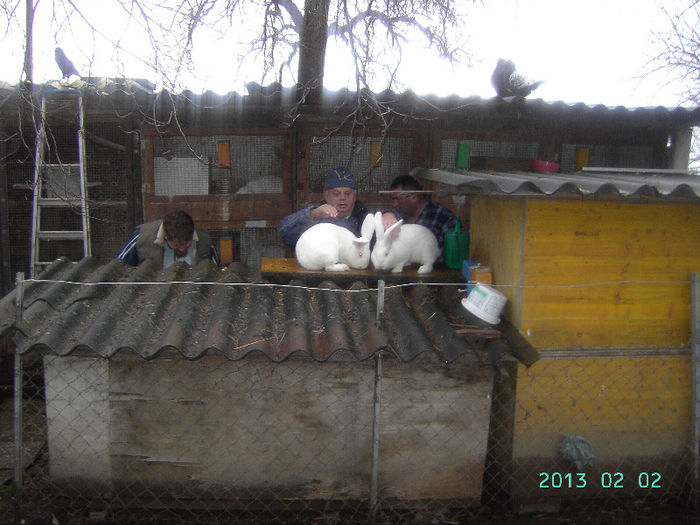 Austria-Germania 02.02.13. 023